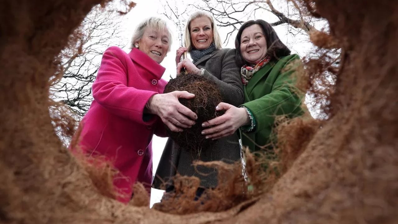 National Tree Week highlights environmental benefit of trees