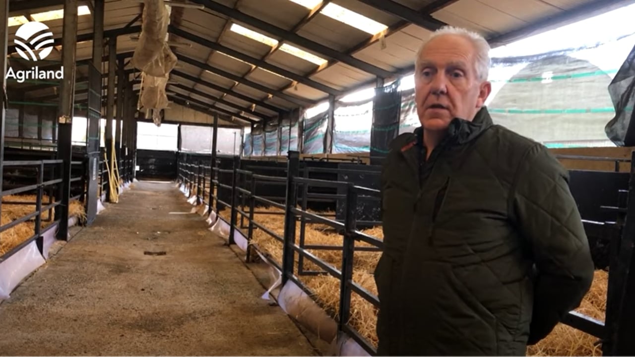 Seamus Scallan, Wicklow Calf Company