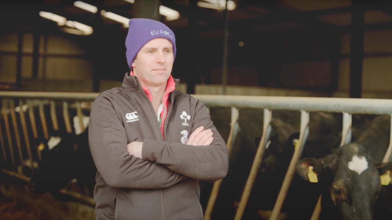 Breeding Series 2023: Quality over quantity for dairy-beef
