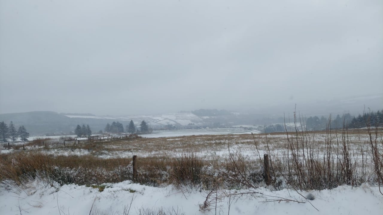 Thousands of homes and farms without power due to snow impacts