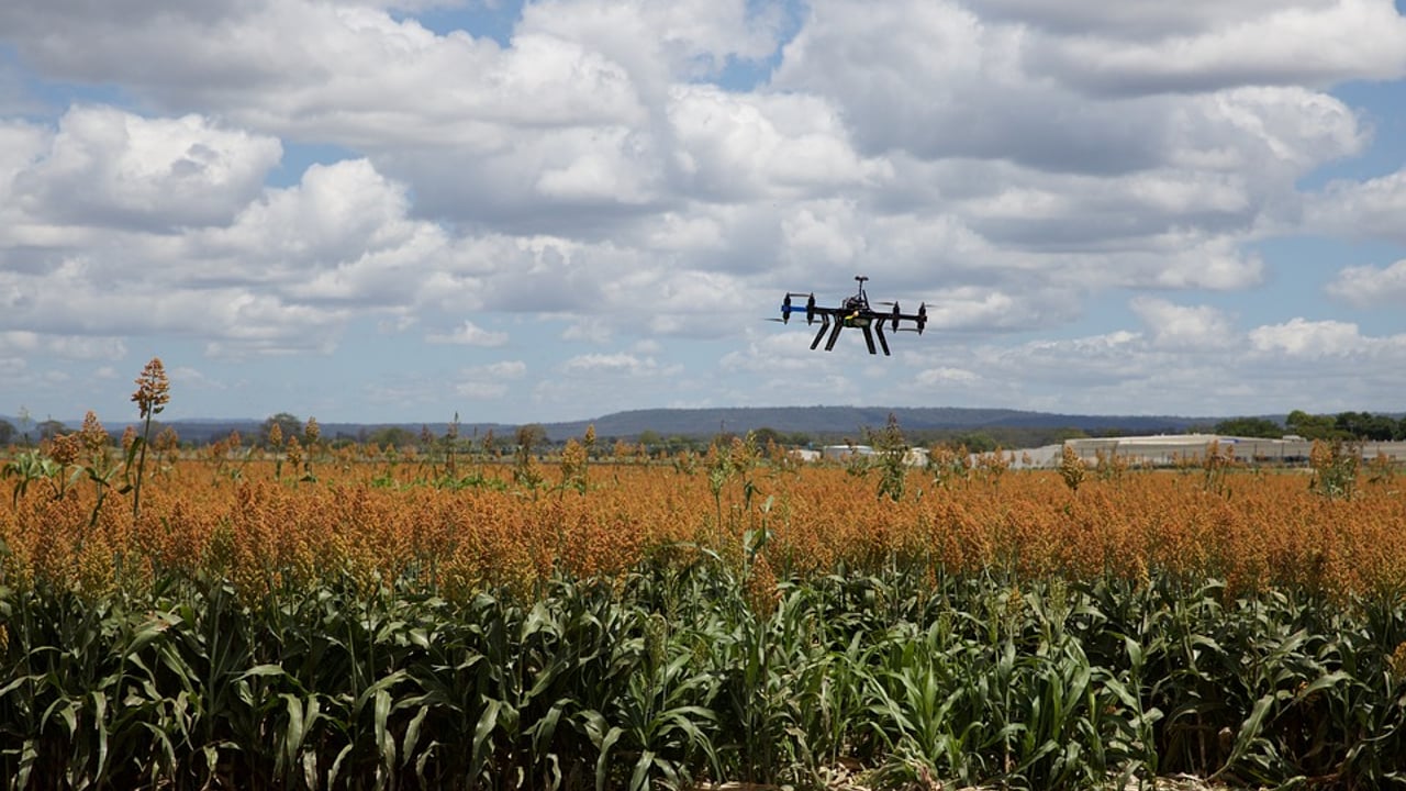 Ambition to double Irish AgTech sector over next decade