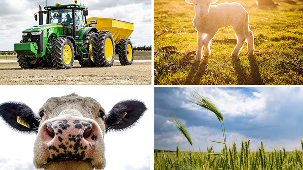 Agricultural operating surplus soars to €4.6bn in 2022 - CSO