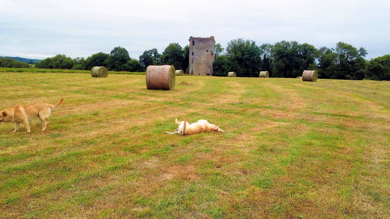 'Heartbroken' farm family fears the worst if greenway goes ahead