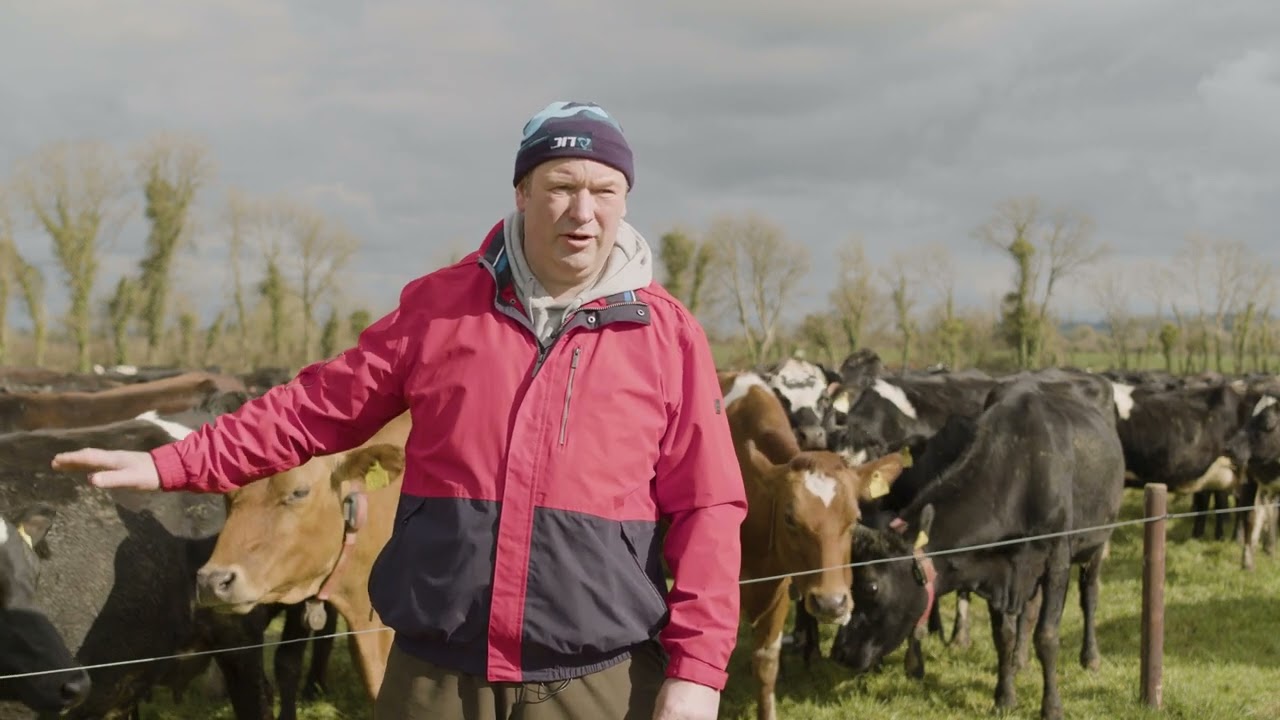Breeding series 2023: ‘There’s no square on the milk cheque for EBI’