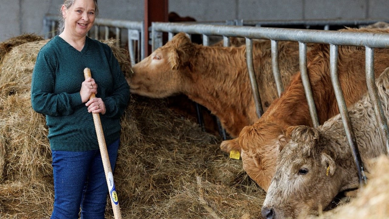 Beef farmer builds winter housing with Cultivate loan