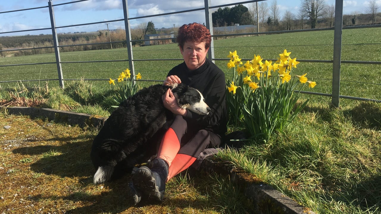 'Farming and fostering can go hand in hand'