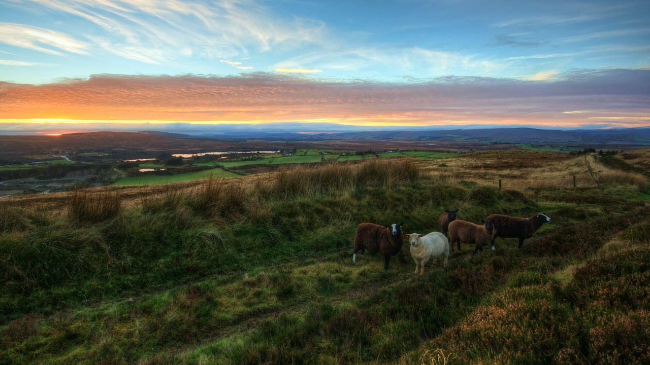 Galway greenway route: Landowners will fight farm severance