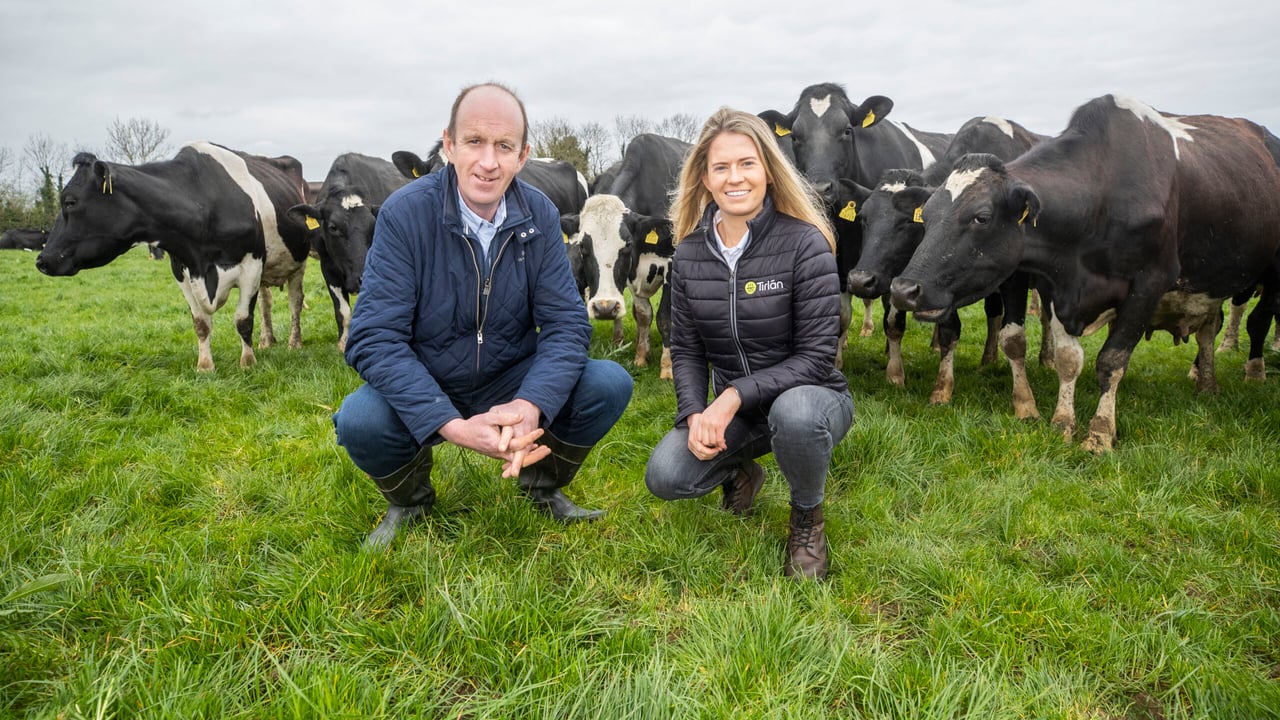 New dairy entrant working to maximise breeding results