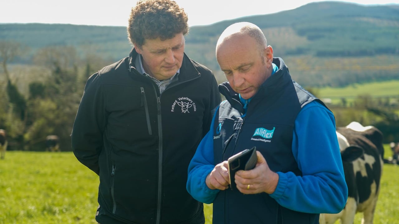 Vet, John Hennessy and dairy farmer, Jim White