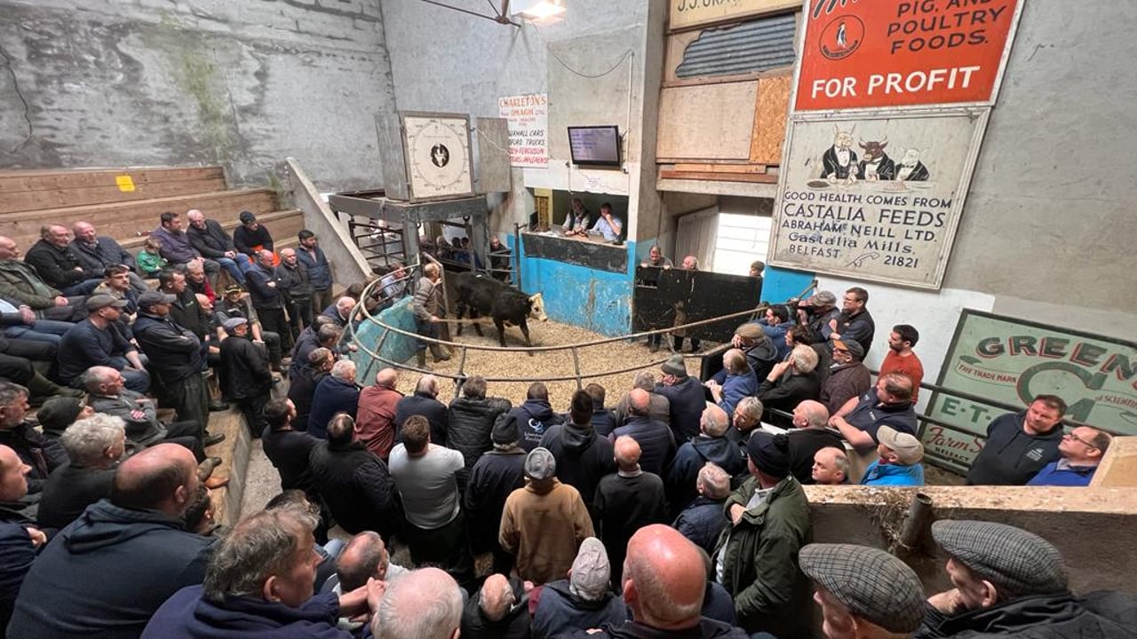 Fivemiletown Mart in Co Tyrone is under new ownership
