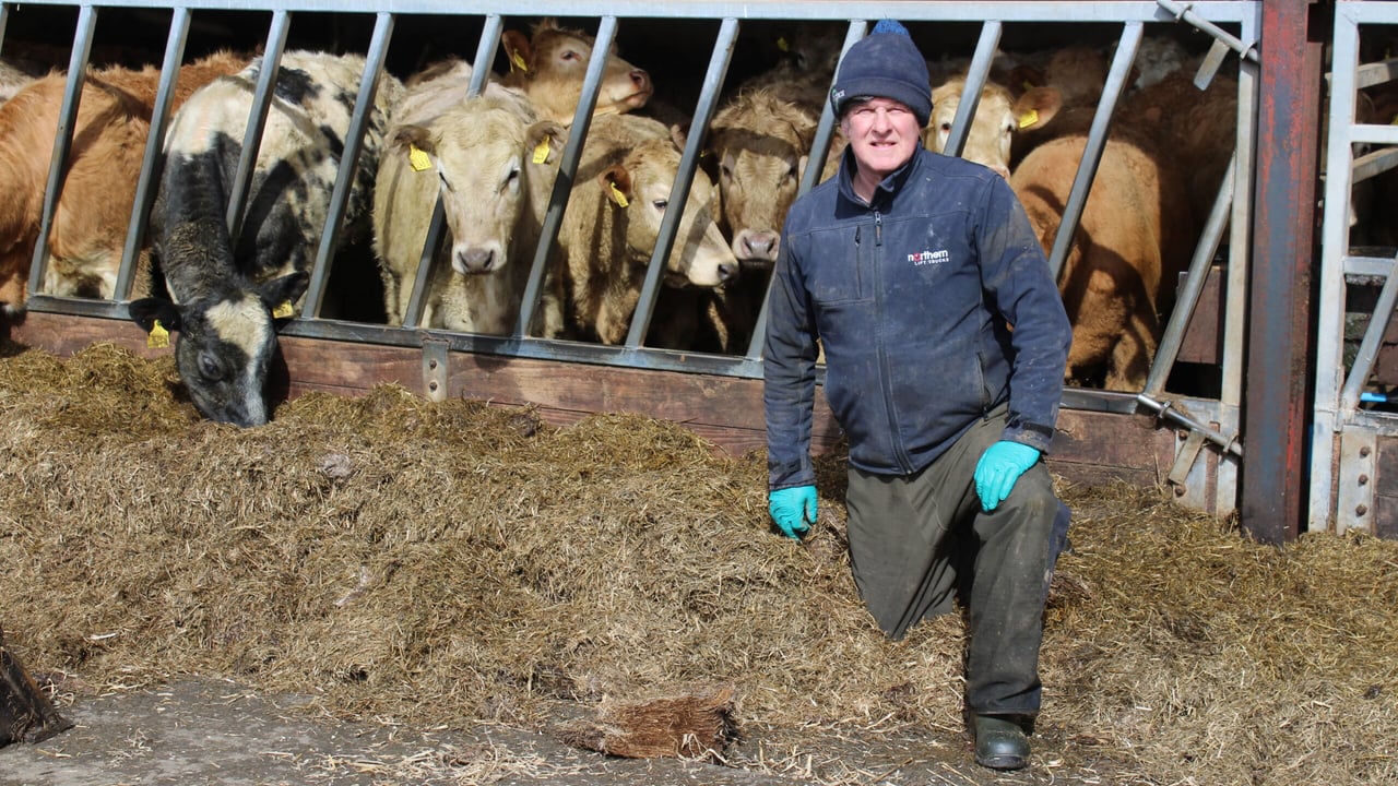 Co. Down suckler beef producer Sam Chesney
