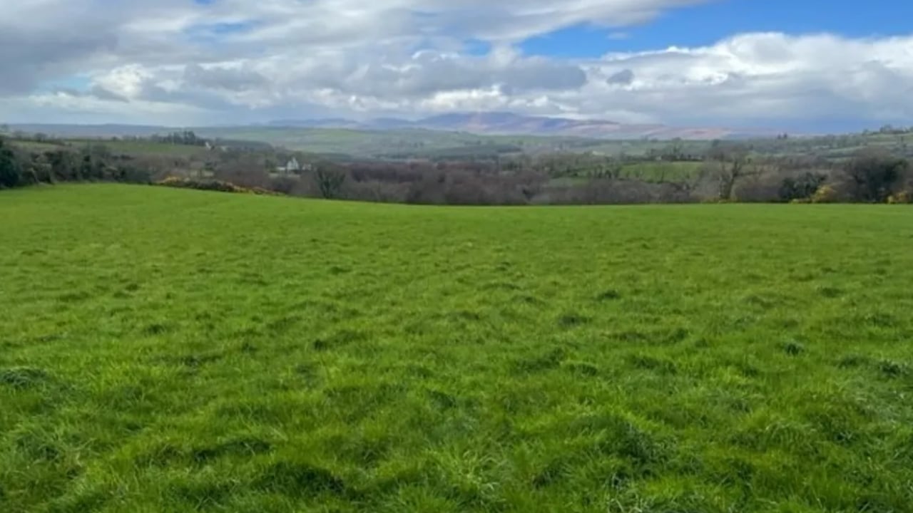 58ac farm near Kerry airport set for auction