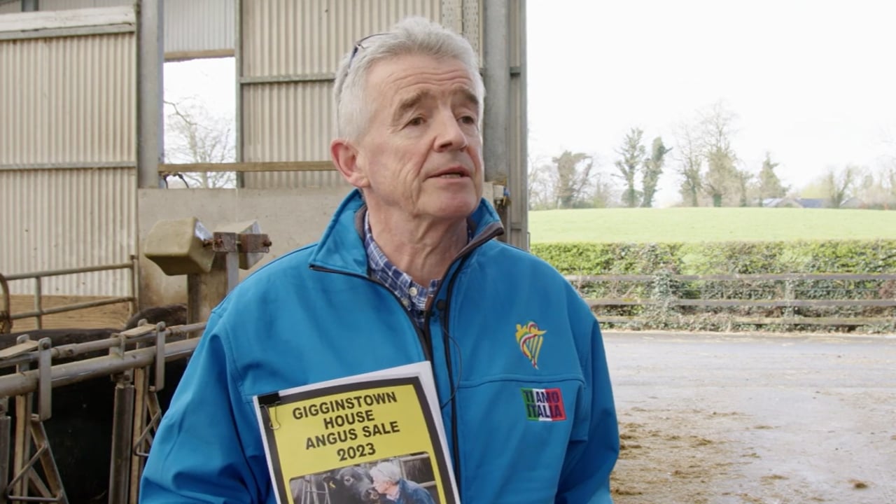 Ryanair boss claims 'loony ideas' could increase food prices