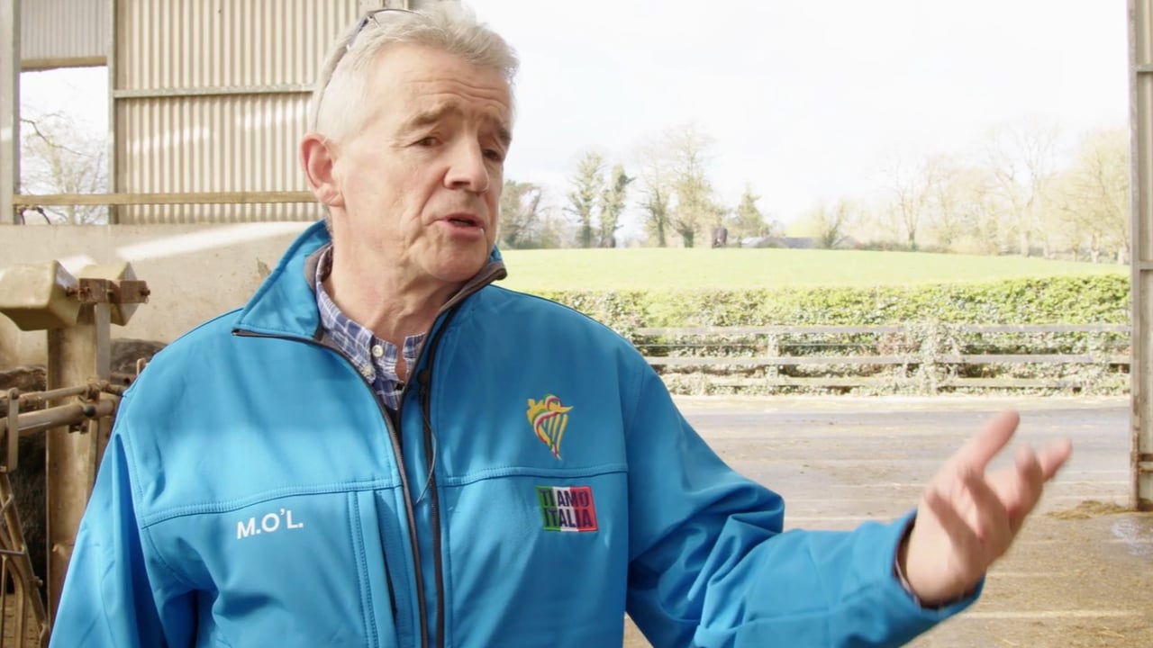 CEO of Ryanair and owner of the Gigginstown House Pedigree Angus Herd, Michael O’Leary