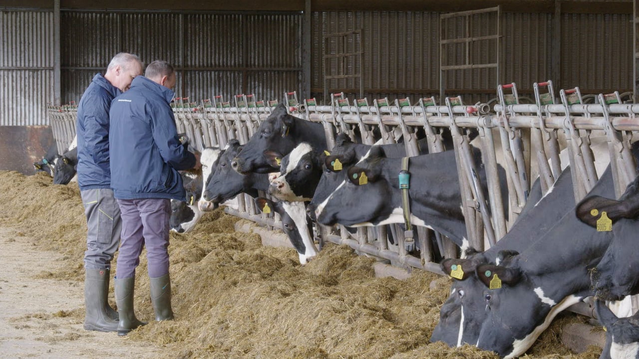 Breeding Series 2023: Increasing combined fat and protein by 182kg in 12 years