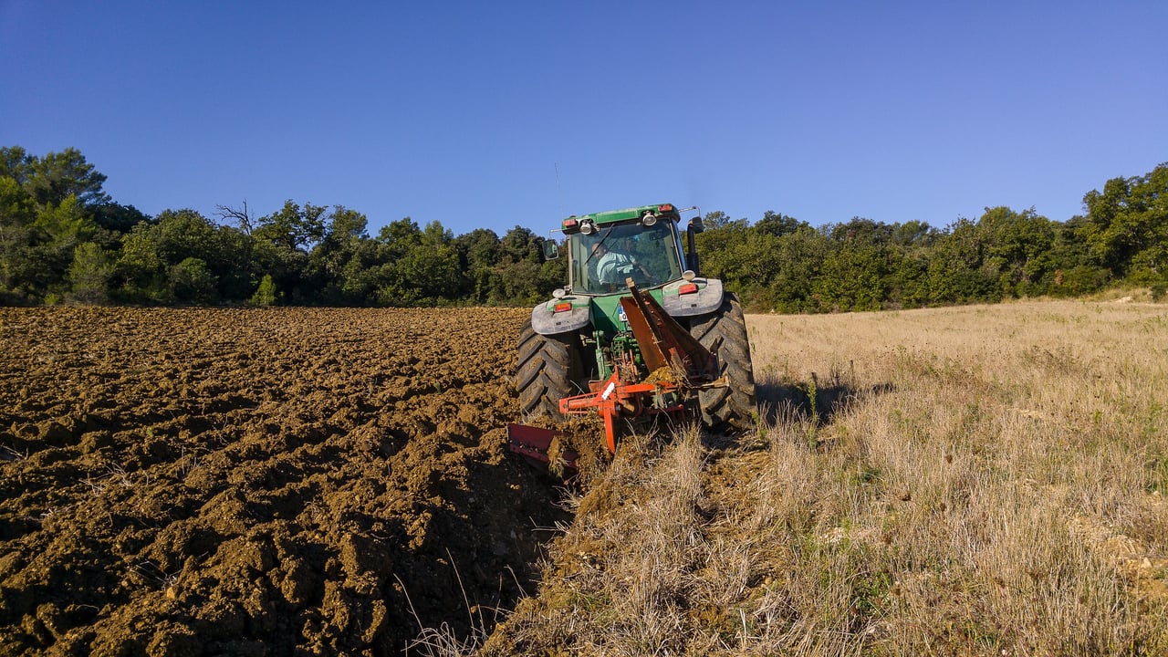 Projected loss of over 10,000 farm workers by 2035 - report