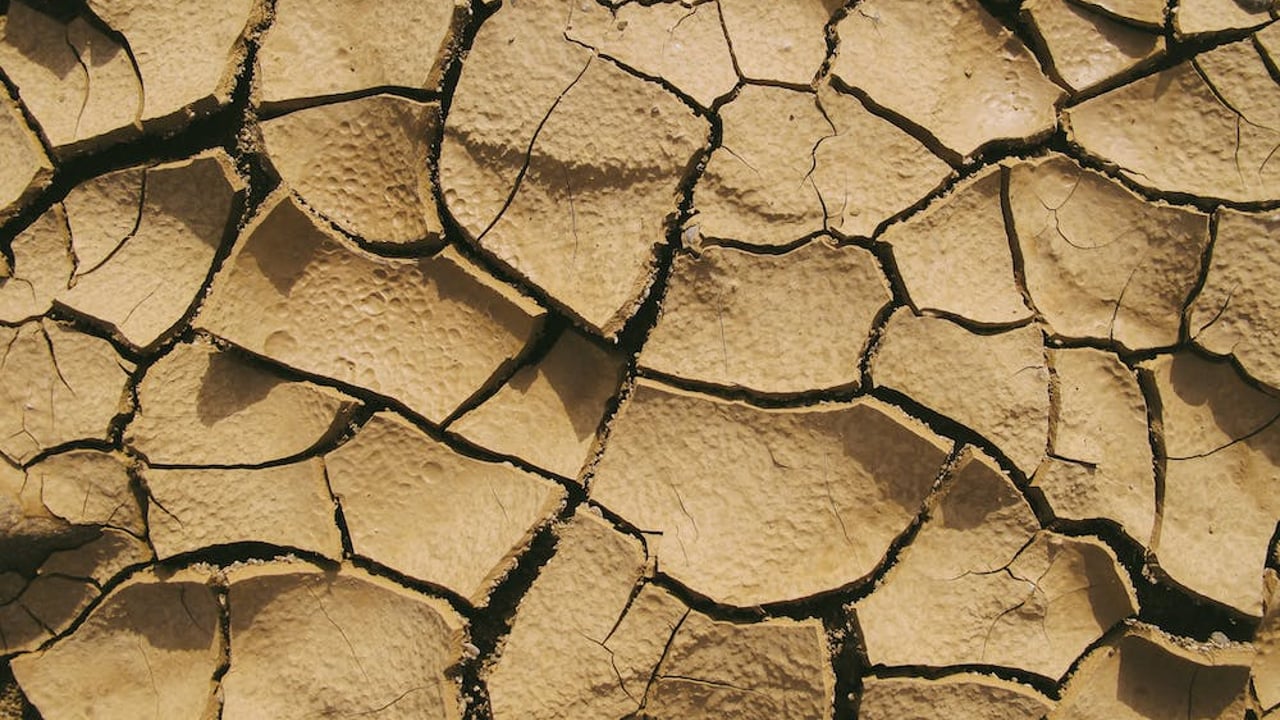 Spain's ag minister requests EU crisis funds amid severe drought