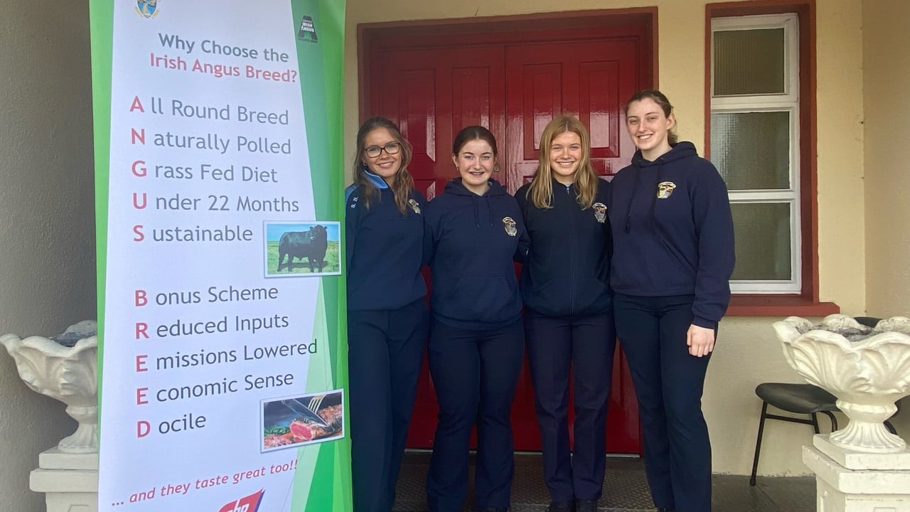 5-point sustainability plan for Irish Angus could deliver 'real benefits'