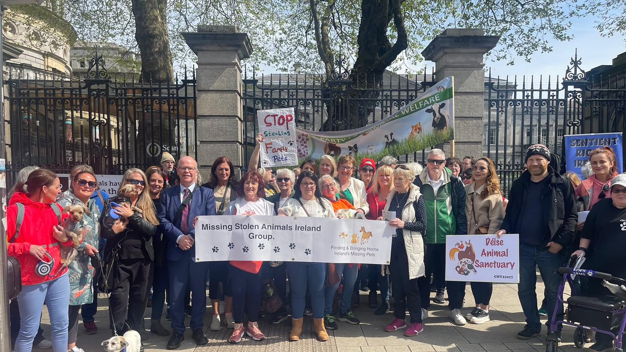 Pictured are: Missing and Stolen Animals Ireland, My Lovely Horse Rescue, Star Rescue, Cat and Dog Protection Association of Ireland, Limerick Animal Welfare and TNR Dublin West. Source: Aontú 