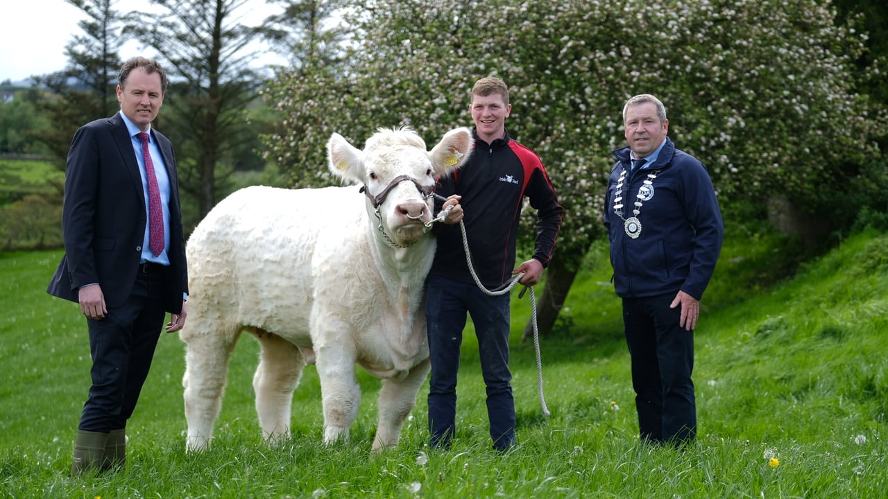 Minister for Agriculture, Food and the Marine Charlie McConalogue launching the 2023 Breeder’s Choice on the farm of Co. Donegal breeder Michael Grant. Also pictured is Irish Shows Association (ISA) president, Raymond Brady