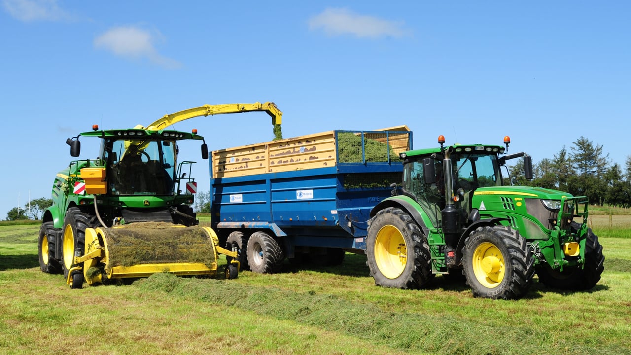 Focus: Ending the madness of silage cutting season