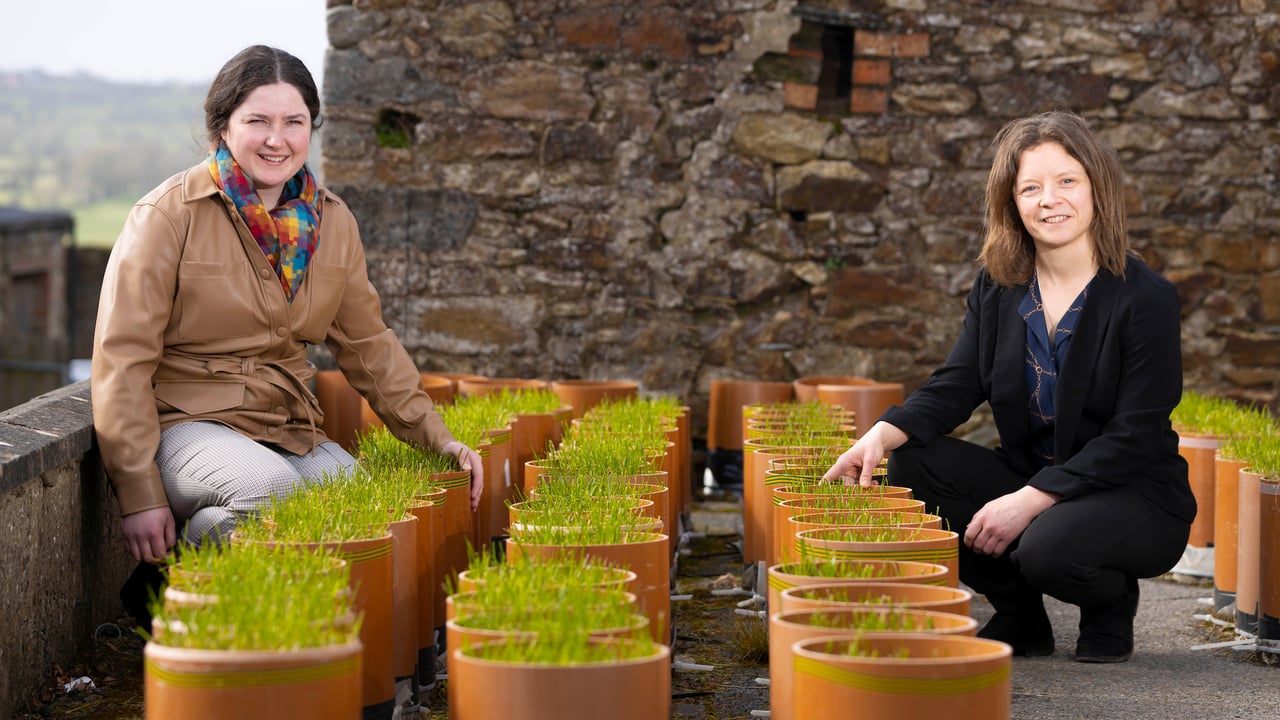 Patricia Roche, PhD student and Dr. Sara Vero, funded investigator at VistaMilk and assistant lecturer in agricultural science at South East Technological University (SETU)
Image: Patrick Browne, Browne's Photography