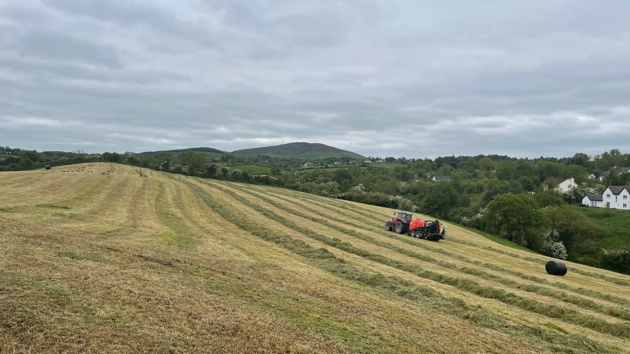 Dry weather disrupts second cut silage preparations