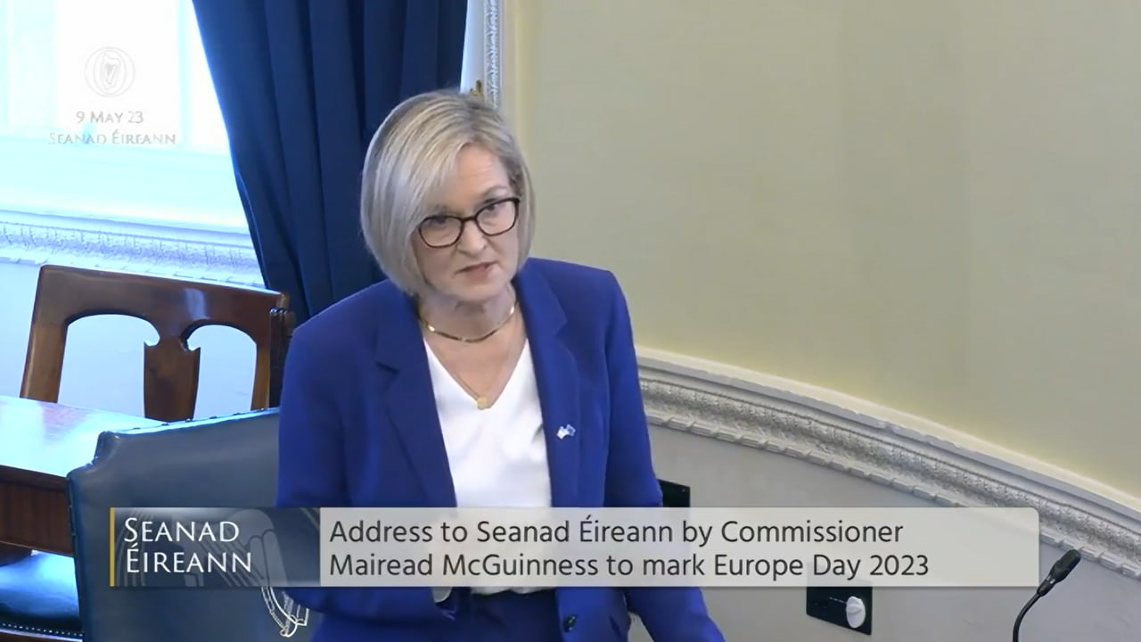 EU Commissioner Mairead McGuinness addressing Seanad Éireann Image: Oireachtas TV