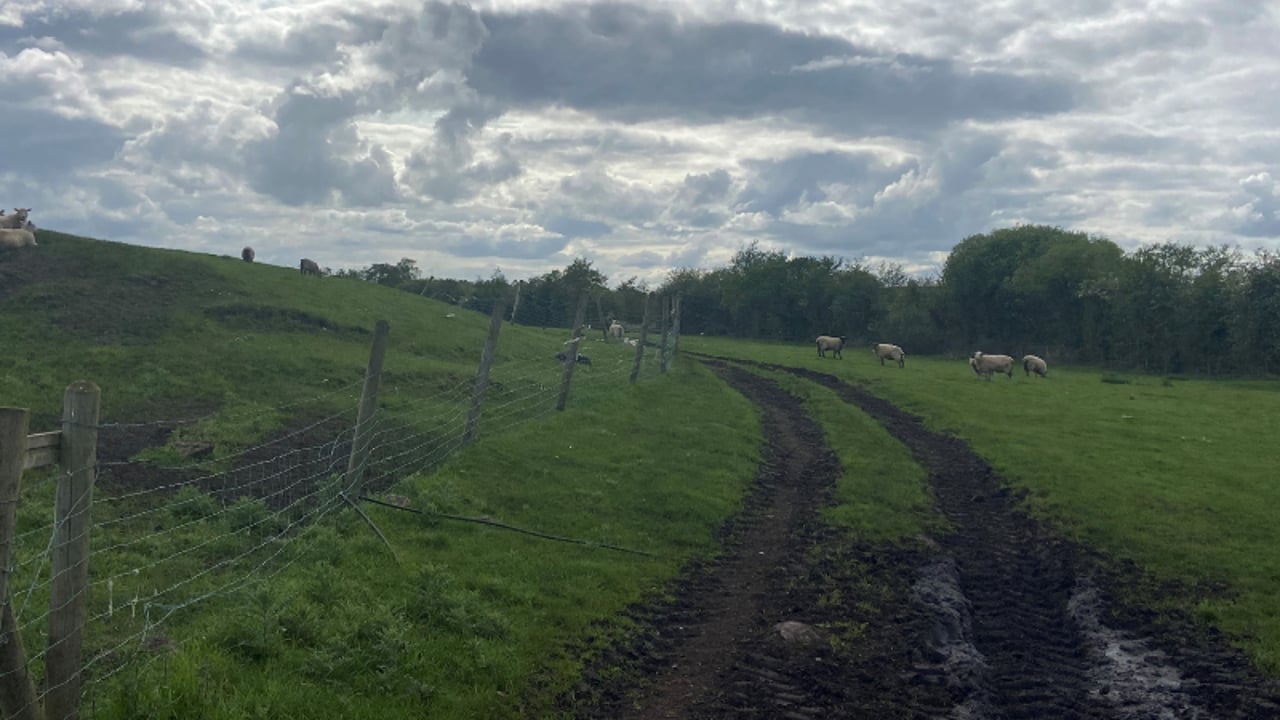 Study: Farms to decline but size to double by 2100