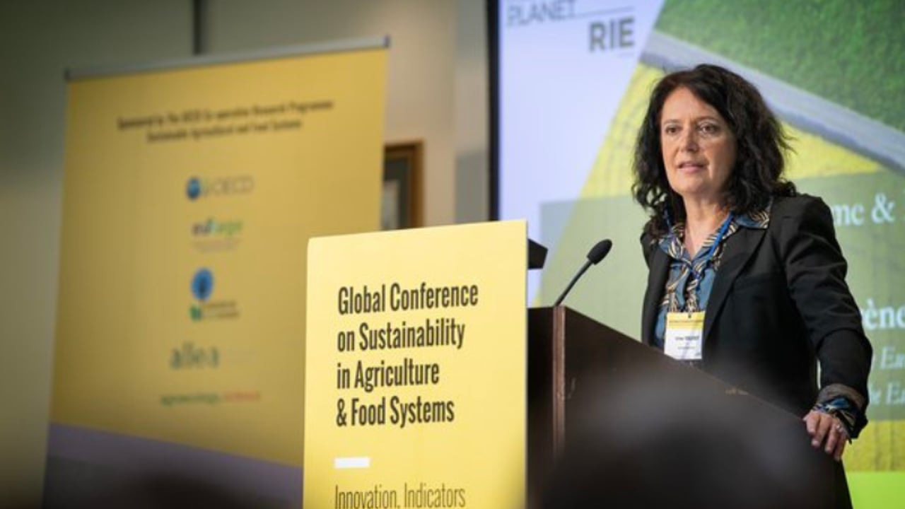 Farmers profits key for Farm to Fork success - MEP
