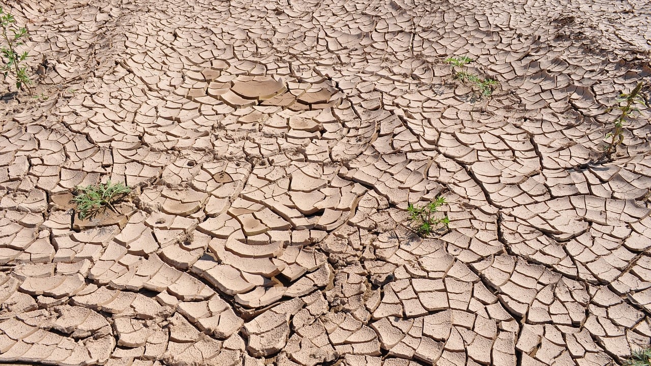 Risk of flash droughts expected to rise globally - study