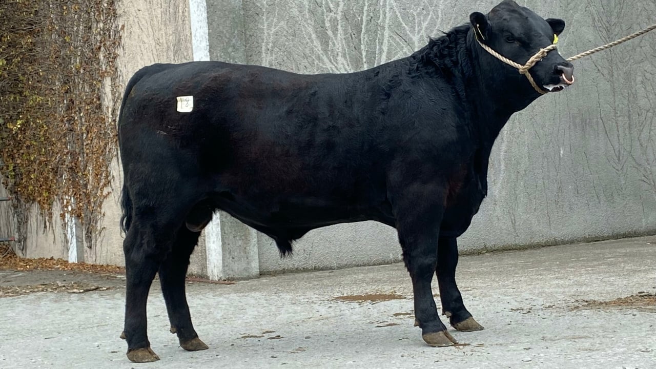  Drumcrow Volvo sold for €4,700