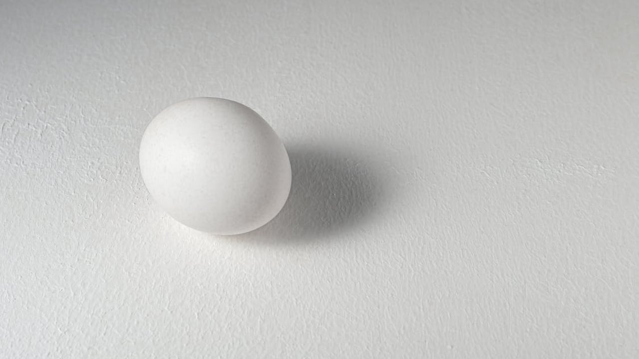 Researchers develop 'allergen-free' eggs