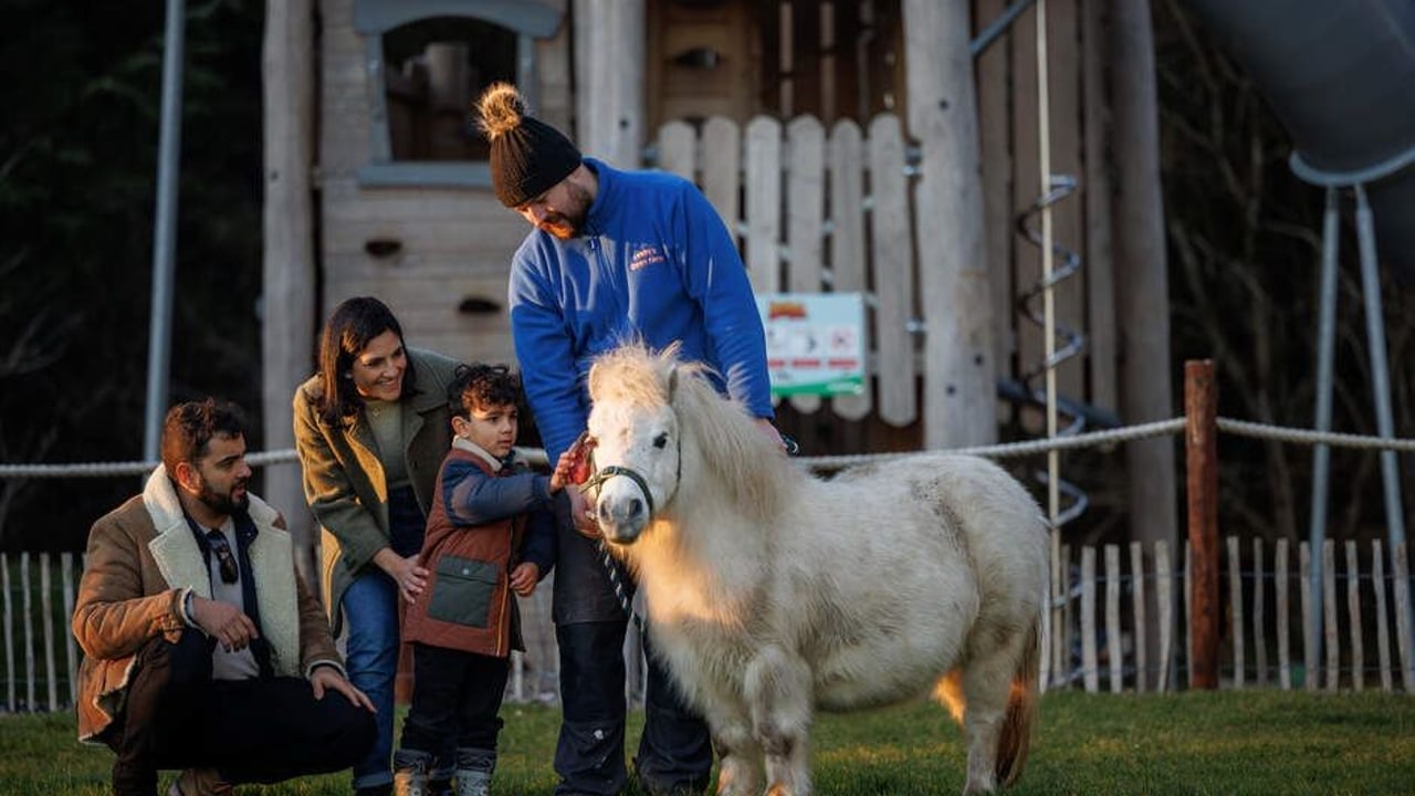 Midleton open farm in agri-tourism expansion mode