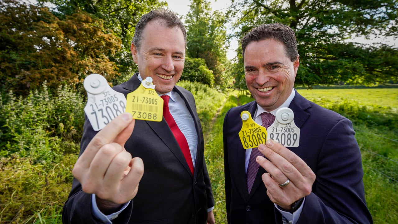 Expecting a"strong farmer uptake" - Minister Charlie McConalogue and Minister Martin Heydon  announce new cattle genotyping programme Source:
@agriculture_ie