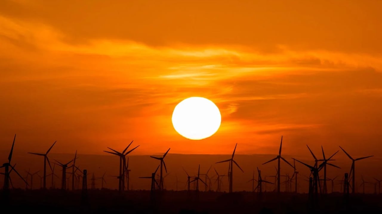Need to 'revisit' idea of crop insurance amid EU heatwaves