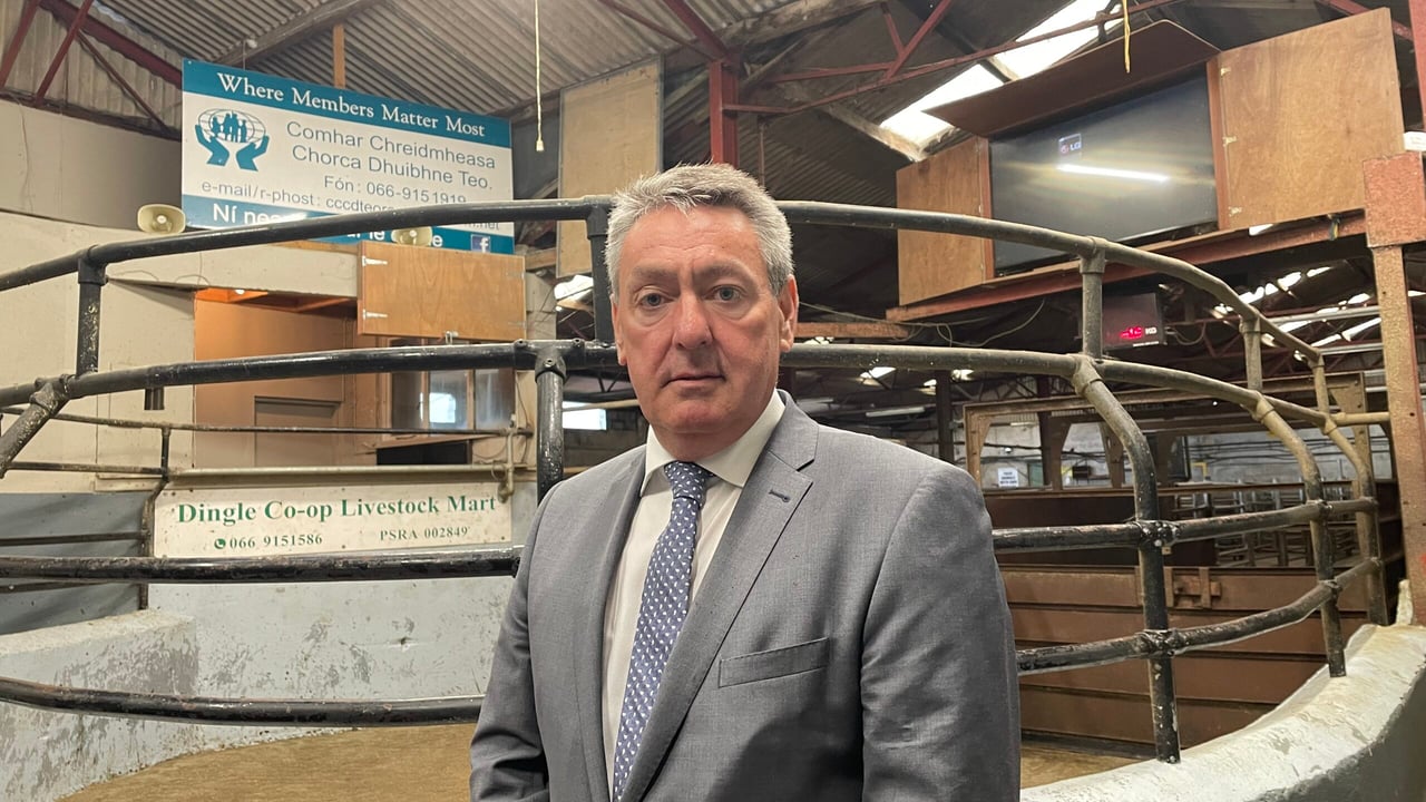 Kelleher calls on retailers to support farmers during wet weather