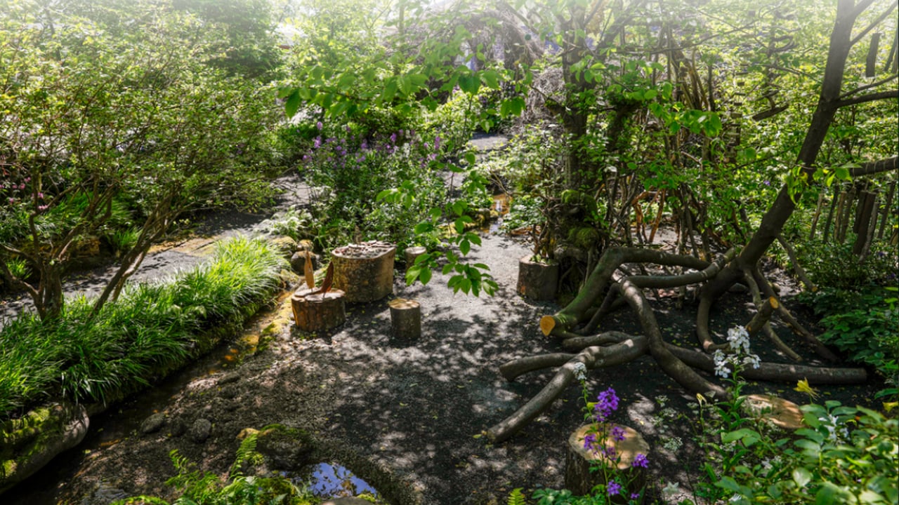 Bloom garden festival continues to blossom in 17th year