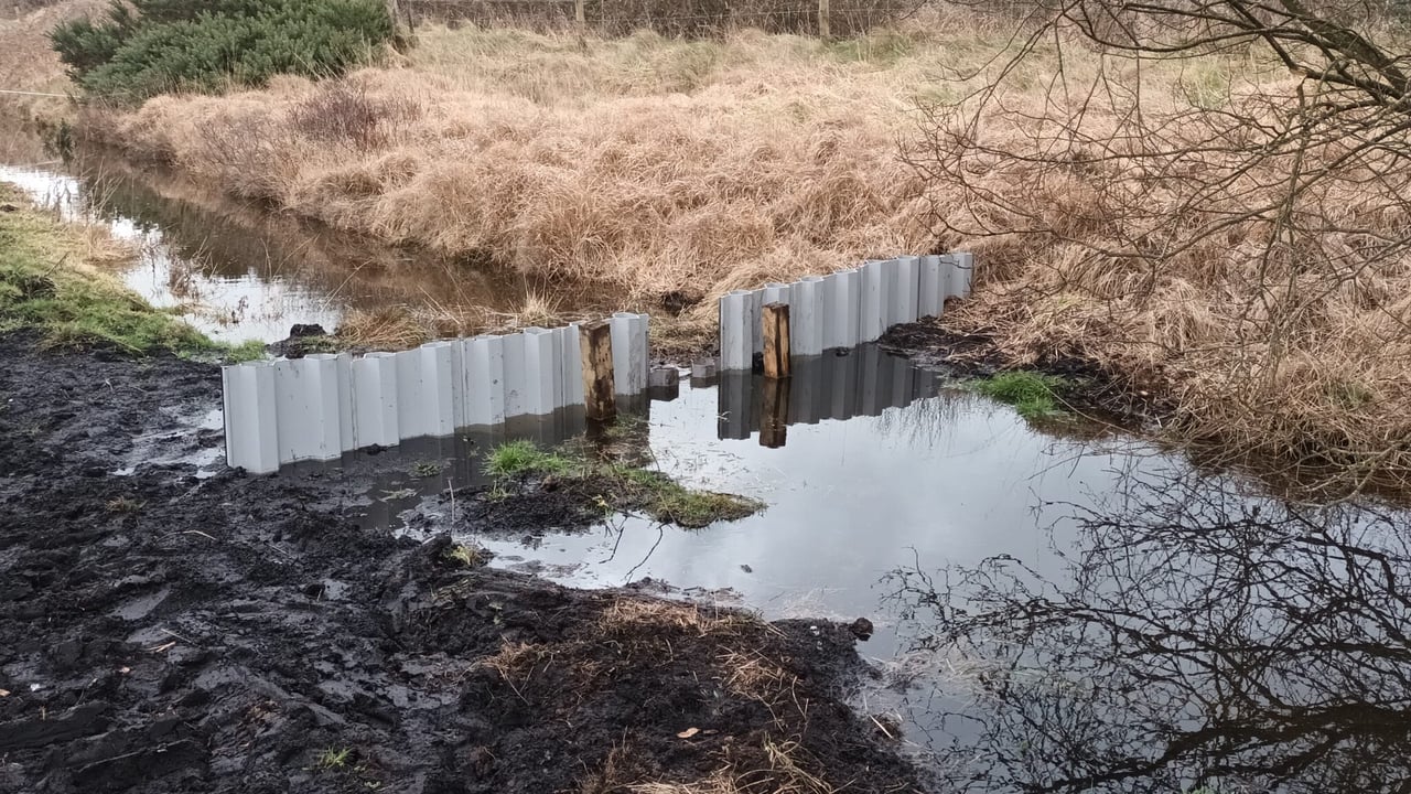 Drain on a farm in Co. Roscommon one week after a plastic dam was installed. Source: FarmPEAT