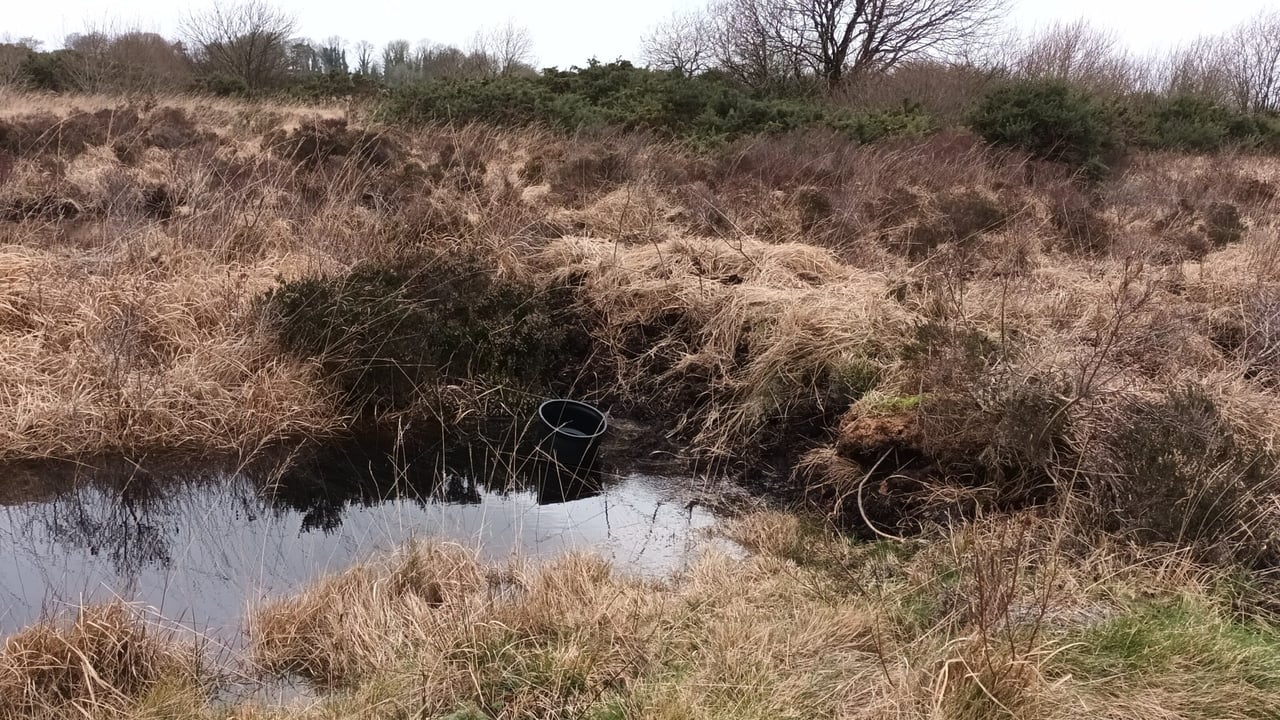 Midlands project supports farmers rewetting peat soils