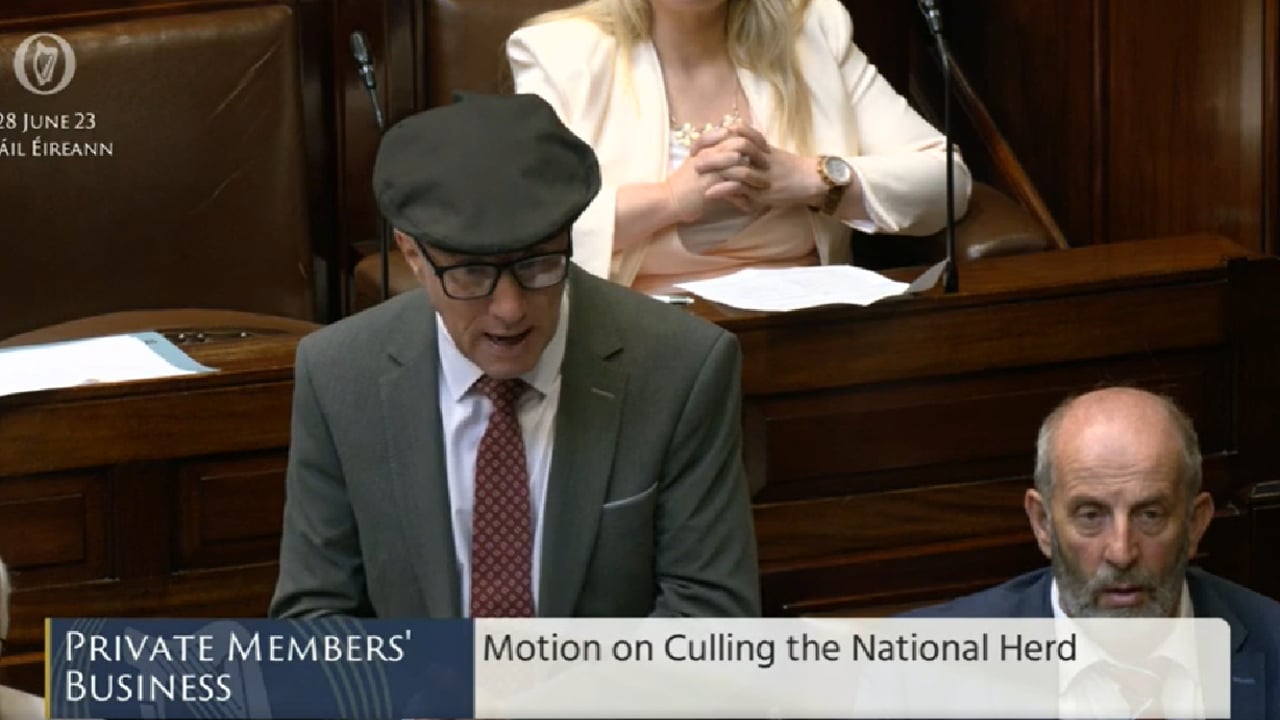 Healy-Rae: Ireland is 'better at farming than anyone else'