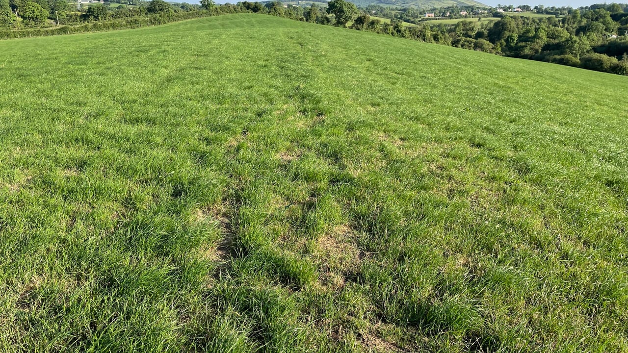 Advice: Actions to take as weather improves
