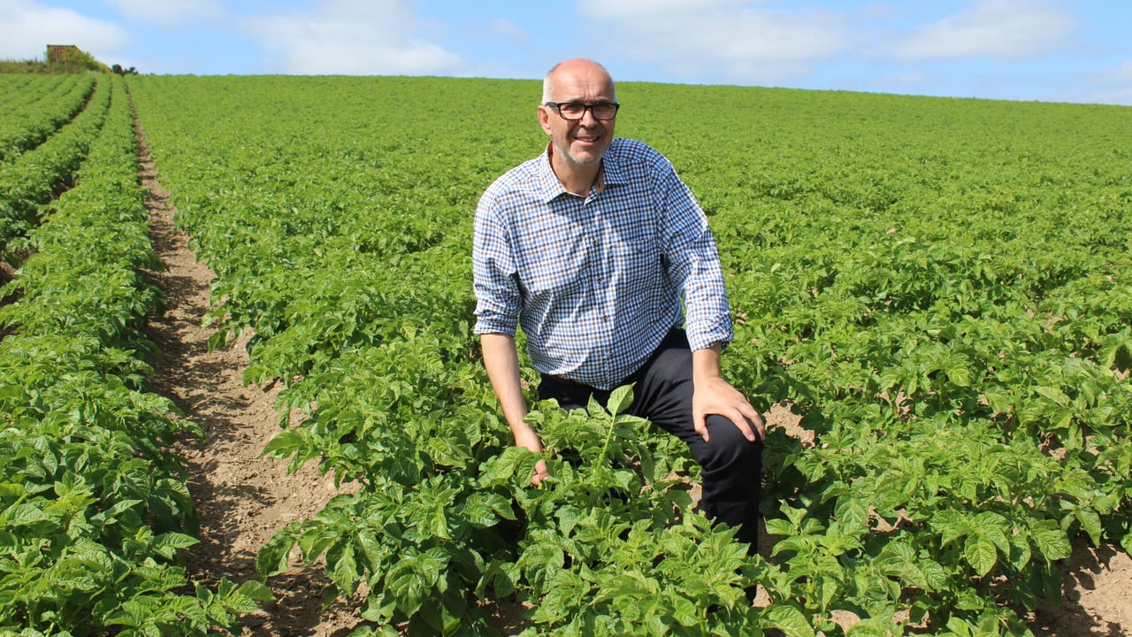 Wilson's Country chairman, Angus Wilson