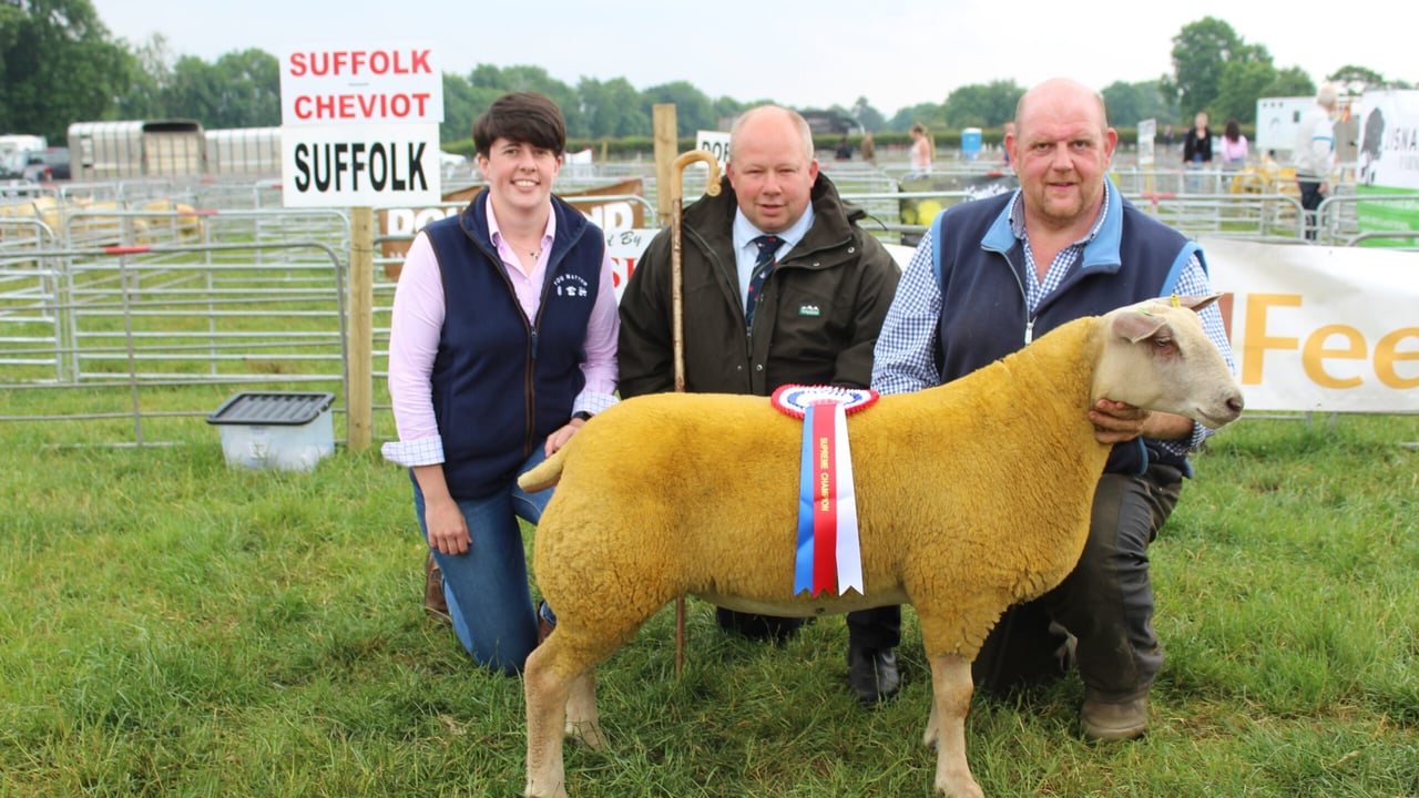 Charollais ewe lamb carries the day at Ballymena Show 2023
