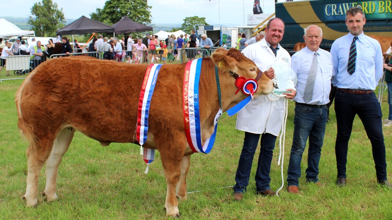 The Supreme Cattle Champion at Newry Show 2023