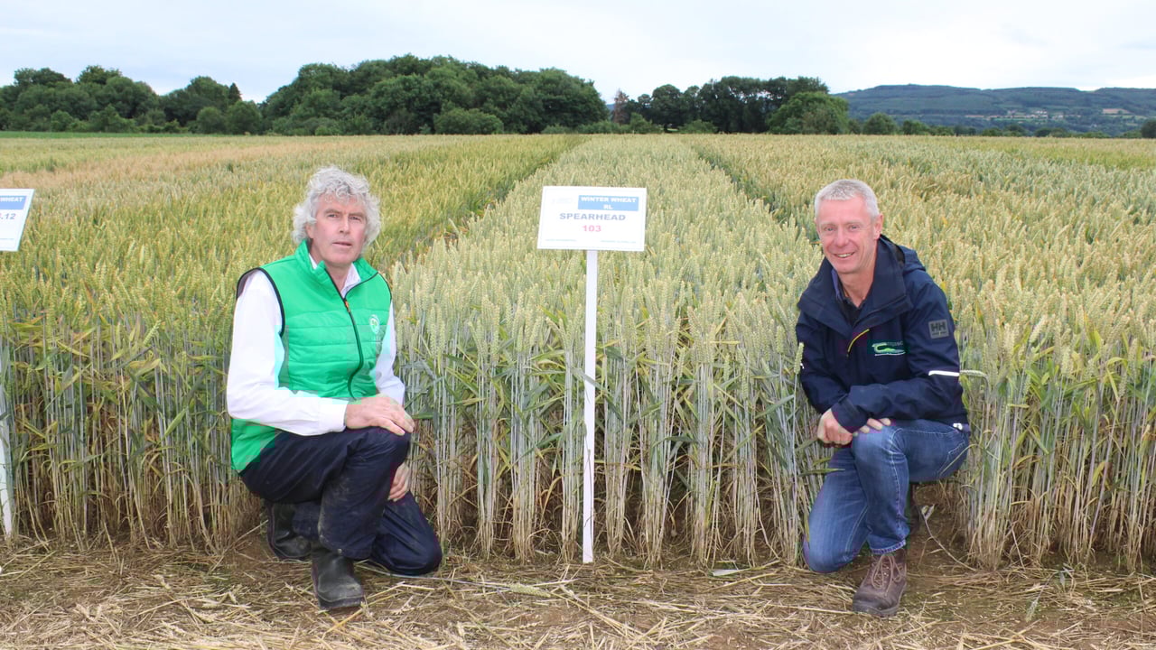 Attending this week's National Crop Variety Trials open day at Kildalton College: Teagasc's Ciaran Collins (right) and Brendan Reilly, Drummonds 