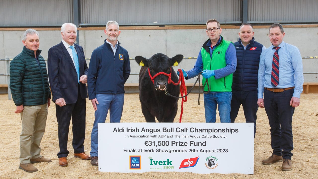 €31,500 prize fund for 2023 Aldi Bull Calf Championships