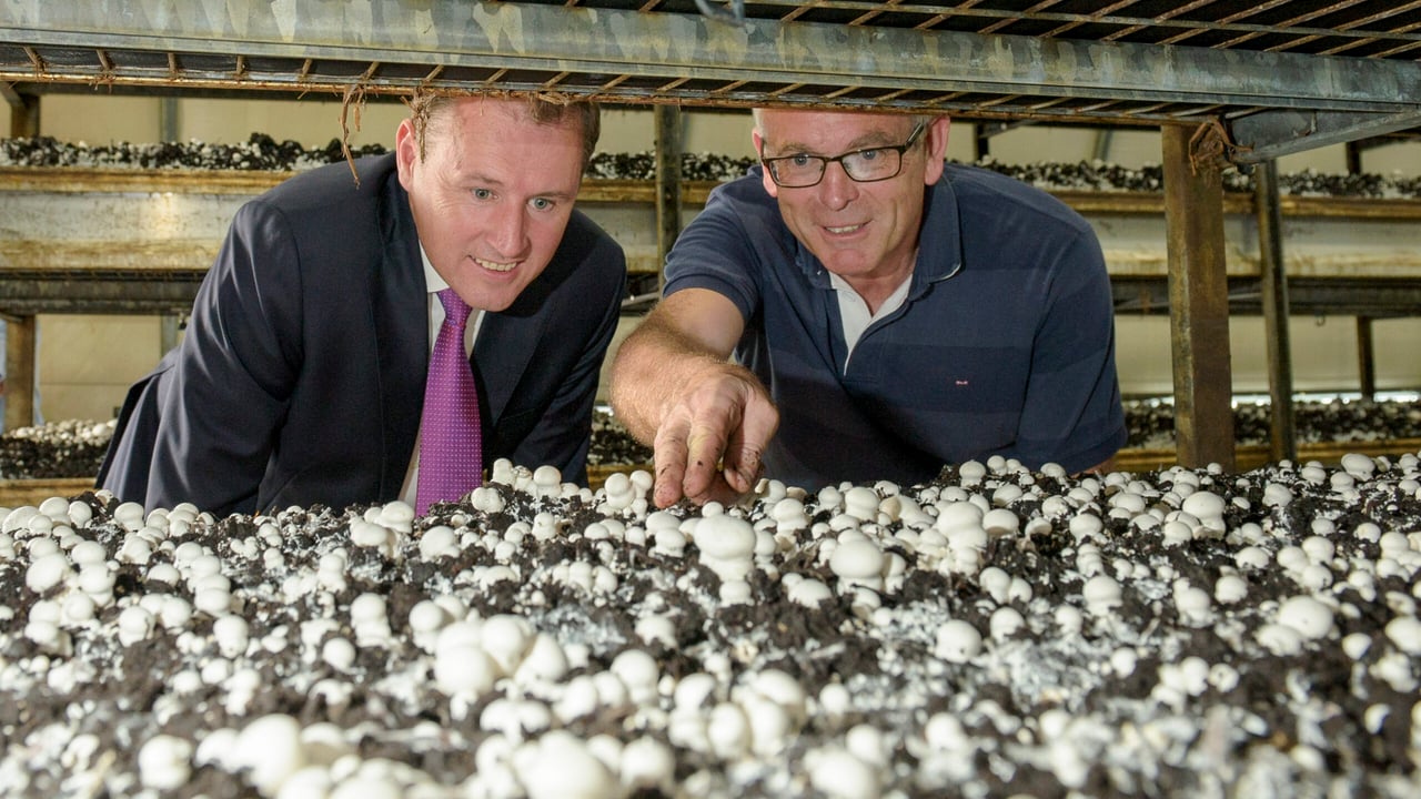 Minister for Agriculture, Food and the Marine, Charlie McConalogue and Peadar McGee of Cornacrieve Mushrooms and Northway Mushroom Producers Organisation