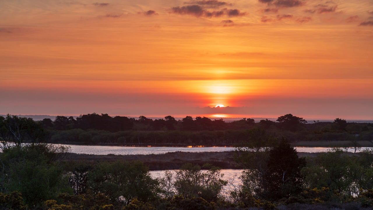Livestock added to UK’s first-ever ‘super’ National Nature Reserve