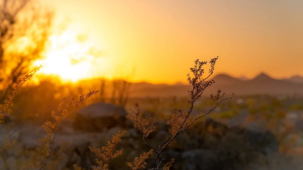 Study: Climate change threatens to increase EU agri losses